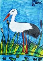 Jamrichová Karolína.jpg